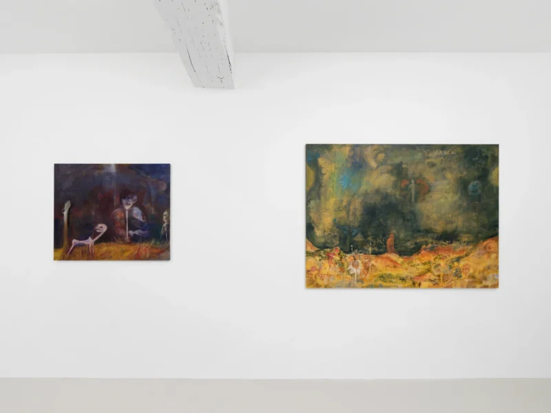 Installation shot from Paul Gondry: VALIS, @ Semiose