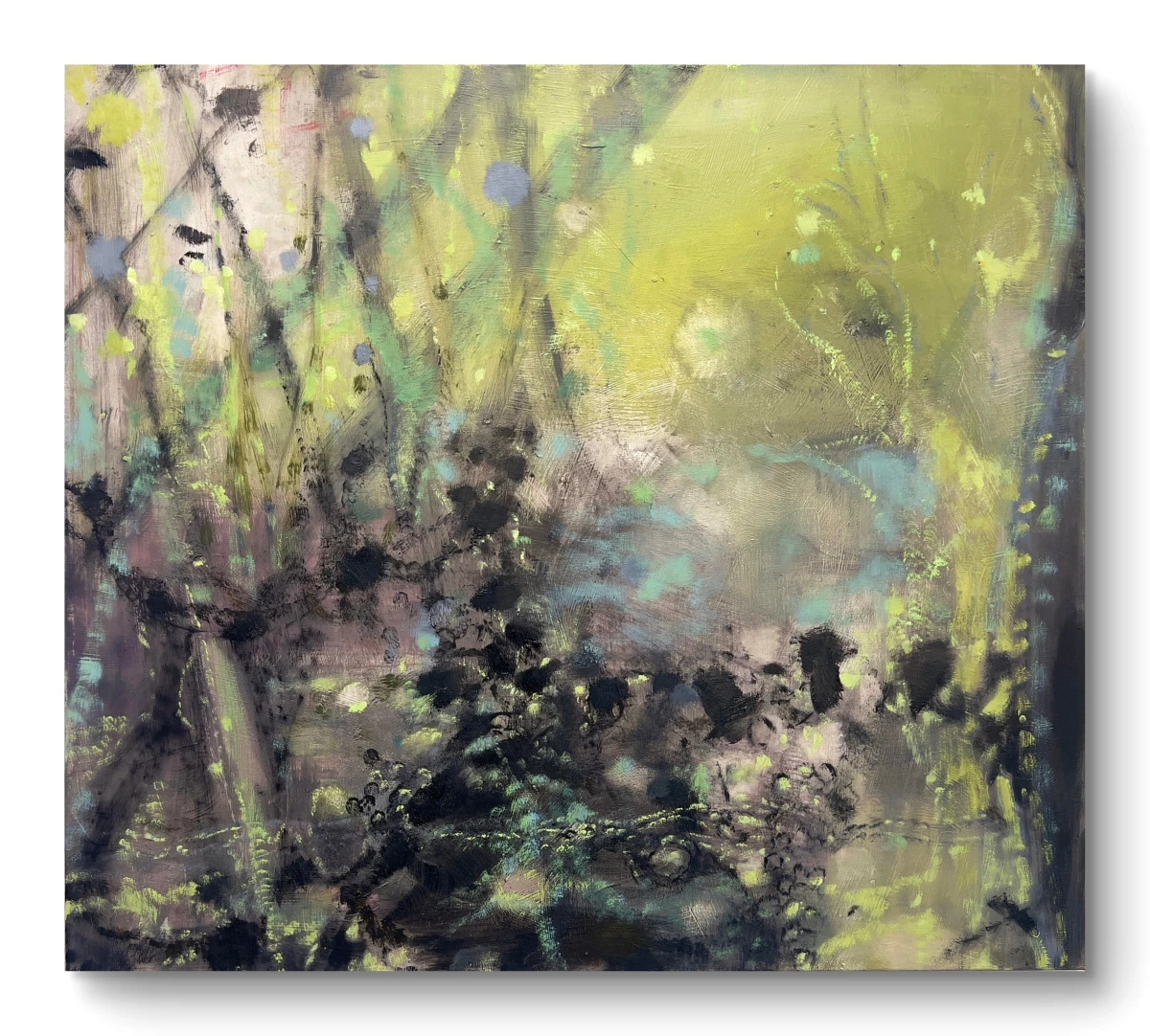 Seohyun Oh, The Garden Dreamed by the Moon, 2026