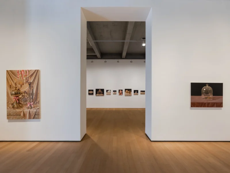 Installation shot from David Smalling: Elizabethan Collar, @ Templon