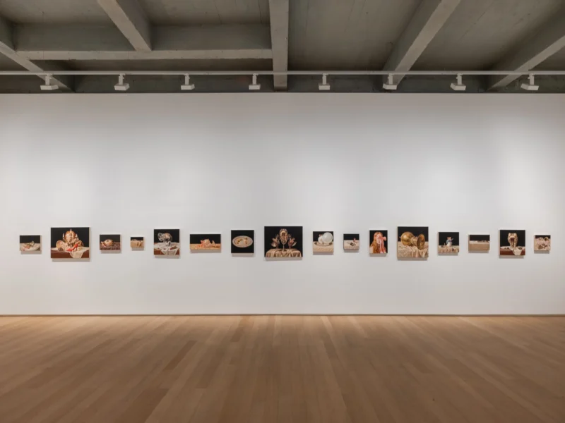 Installation shot from David Smalling: Elizabethan Collar, @ Templon