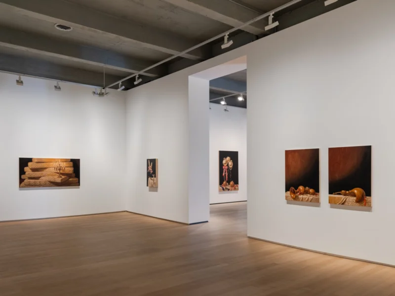 Installation shot from David Smalling: Elizabethan Collar, @ Templon