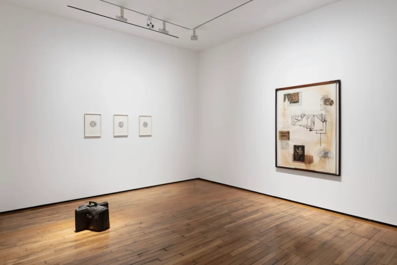 Installation shot from Jitish Kallat: Point of Incidence, @ Templon