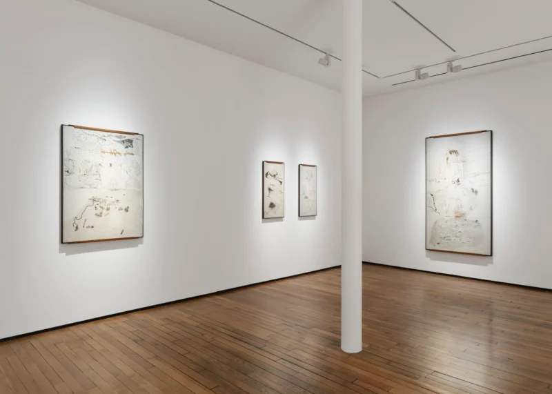 Installation shot from Jitish Kallat: Point of Incidence, @ Templon