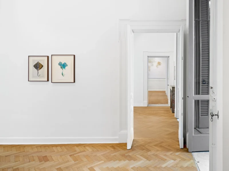 Installation shot from Atlante, @ Thomas Dane Gallery