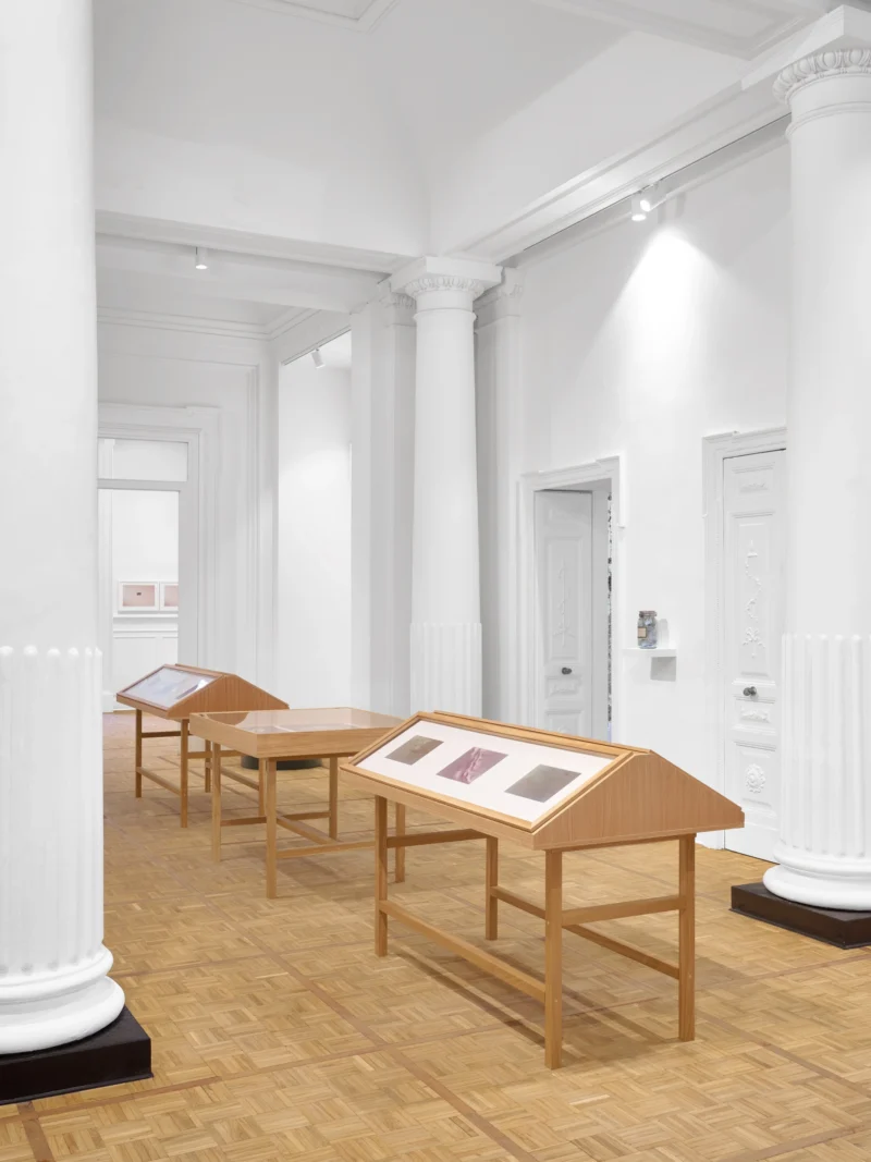 Installation shot from Atlante, @ Thomas Dane Gallery