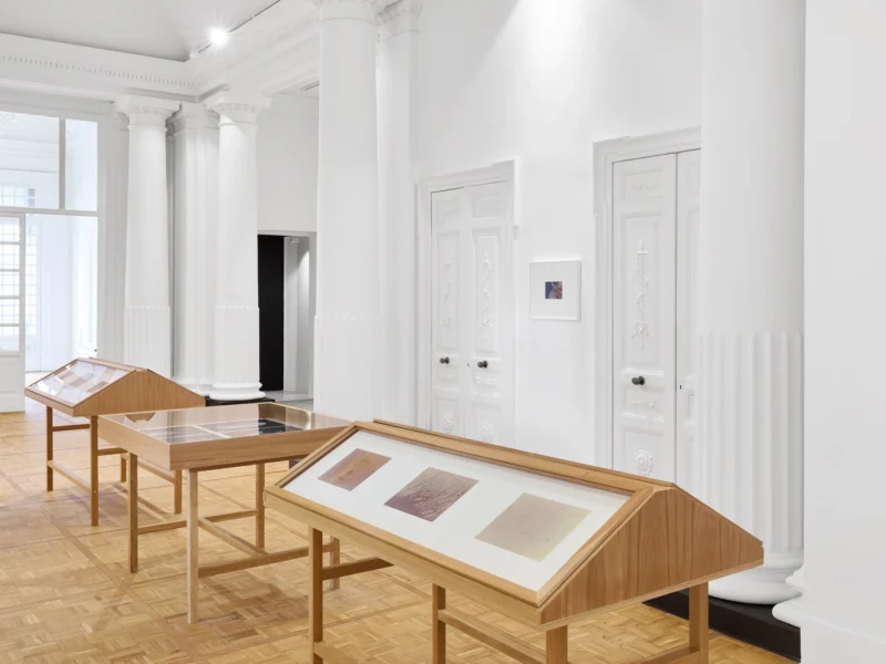 Installation shot from Atlante, @ Thomas Dane Gallery