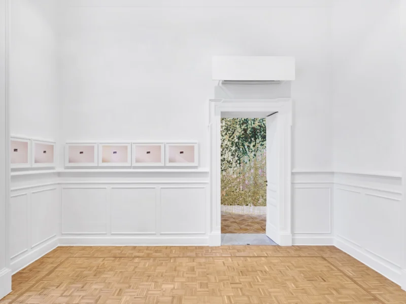 Installation shot from Atlante, @ Thomas Dane Gallery