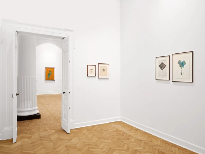 Installation shot from Atlante, @ Thomas Dane Gallery