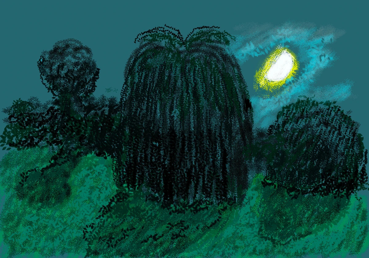 David Hockney, 26th October 2020, 2020