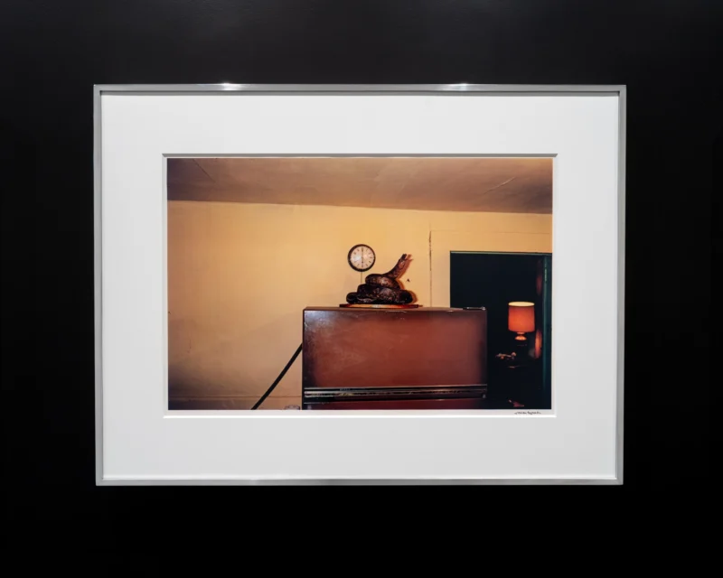 Installation shot from William Eggleston: Six Prints, One Scale, @ Zander Galerie