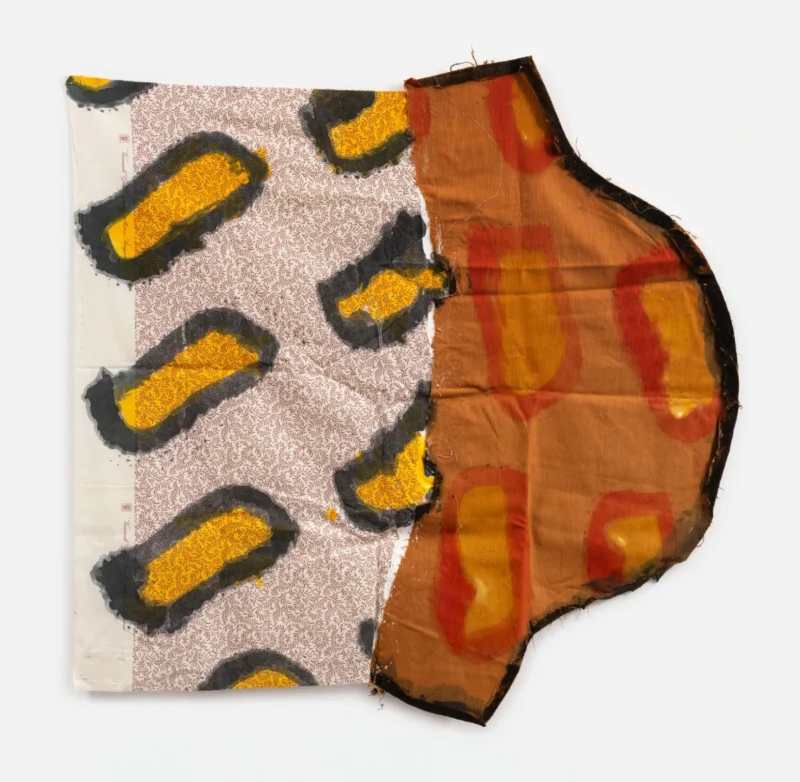 Claude Viallat, Sans titre n°51, 2025