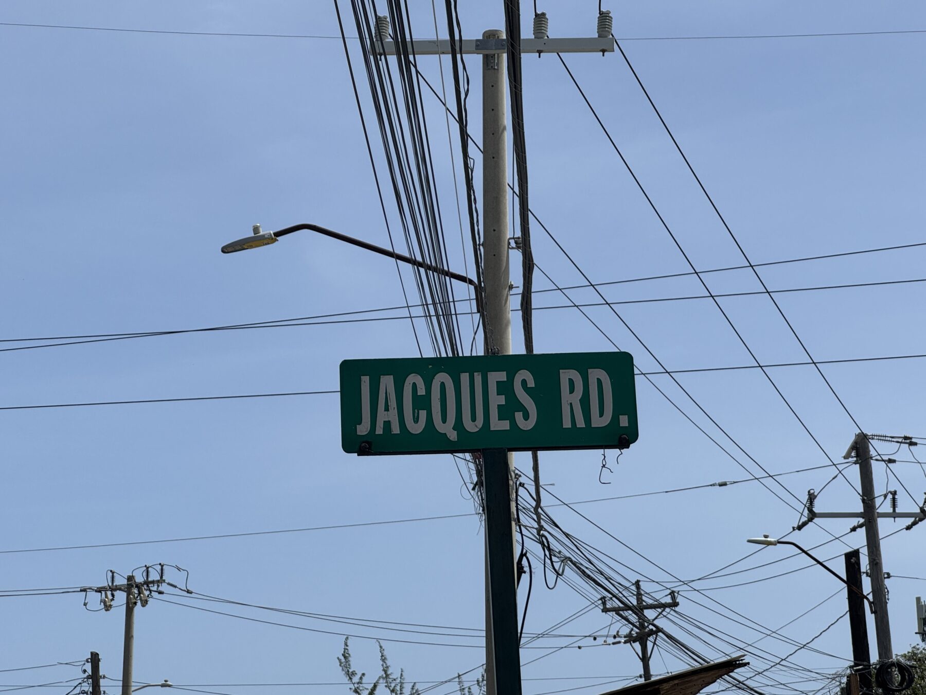 Image for Ain Bailey: The Jamaica Project at Camden Art Centre