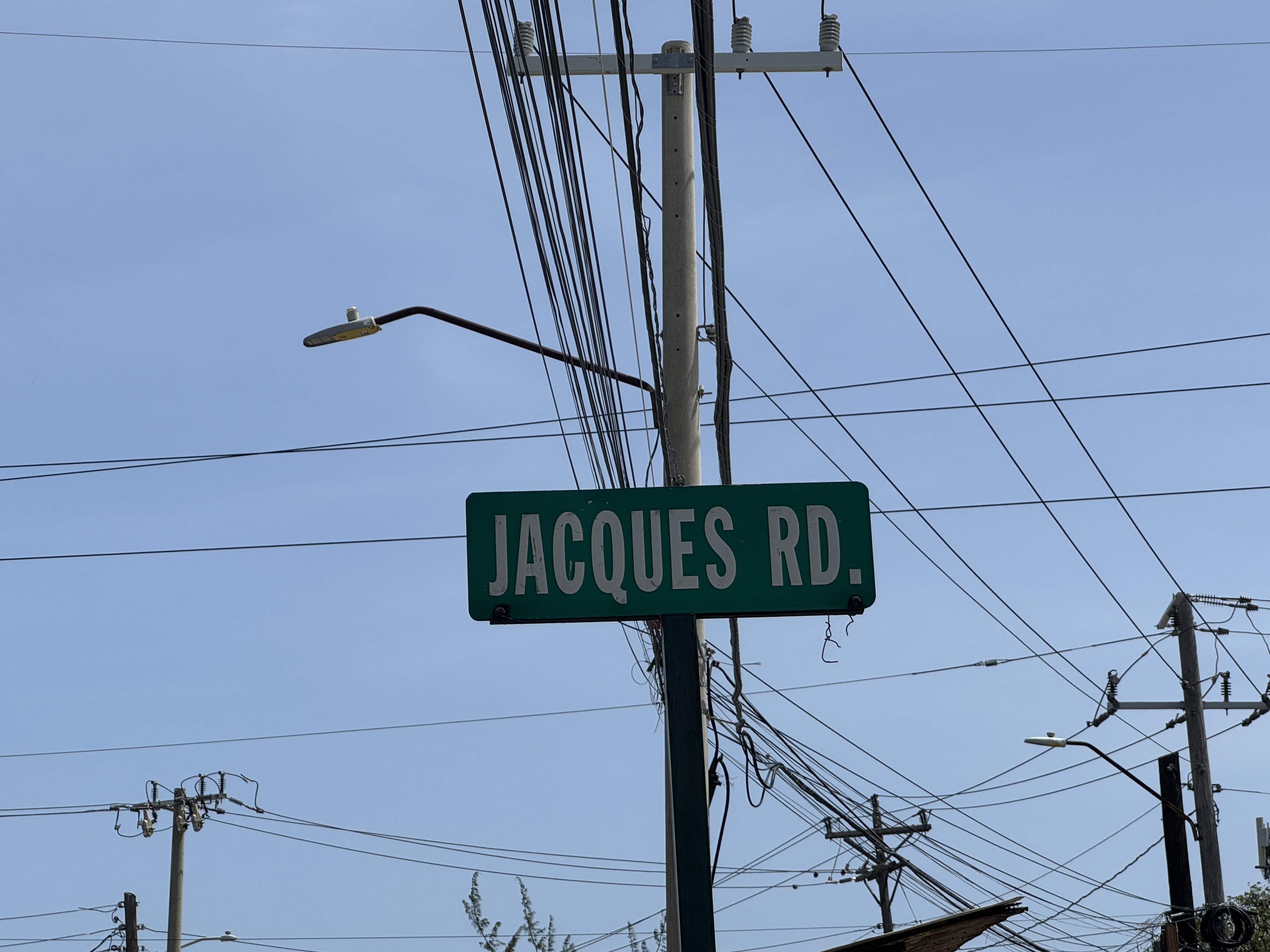 Image for Ain Bailey: The Jamaica Project, at Camden Art Centre