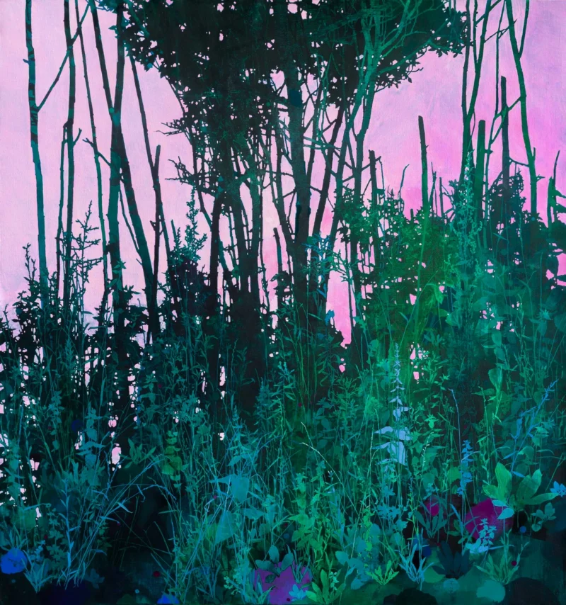 Henrik Simonsen, Pink Evening Sky