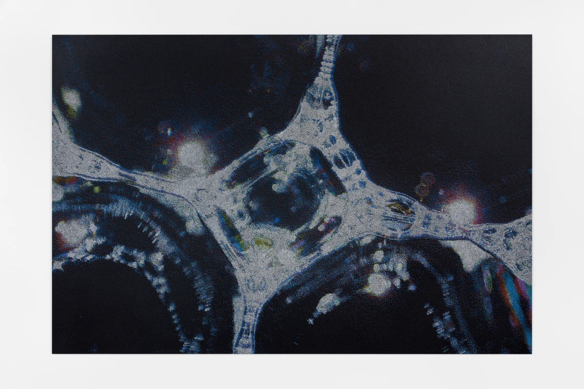 Tauba Auerbach, Foam, 2026