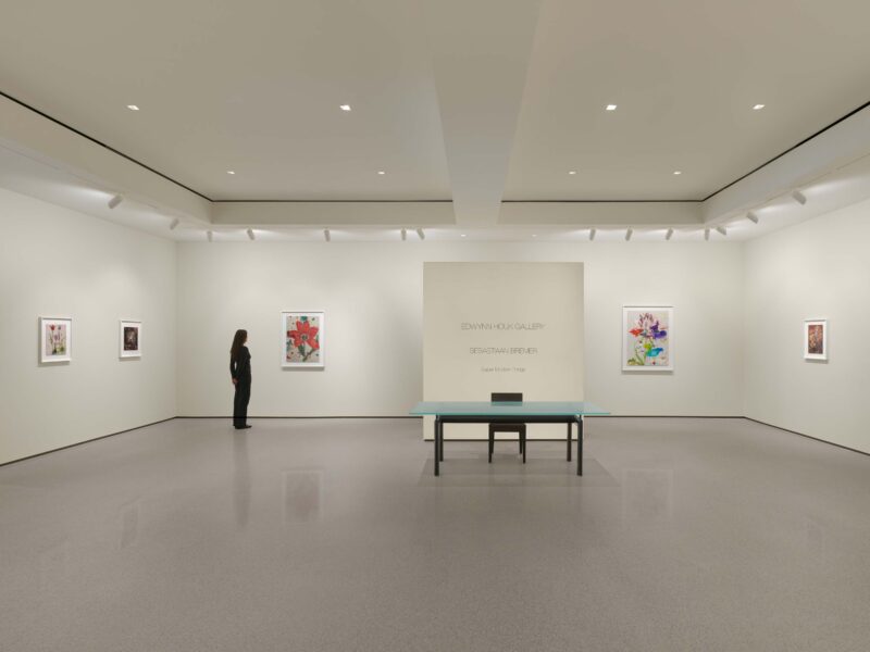 Installation shot from Sebastiaan Bremer: Super Modern Things, @ Edwynn Houk Gallery
