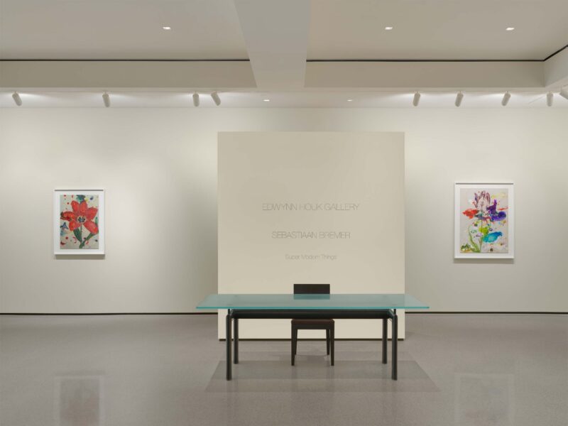 Installation shot from Sebastiaan Bremer: Super Modern Things, @ Edwynn Houk Gallery