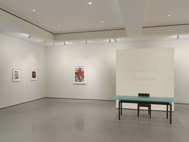 Installation shot from Sebastiaan Bremer: Super Modern Things, @ Edwynn Houk Gallery