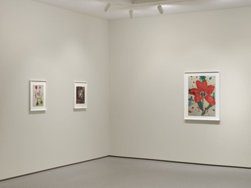 Installation shot from Sebastiaan Bremer: Super Modern Things, @ Edwynn Houk Gallery