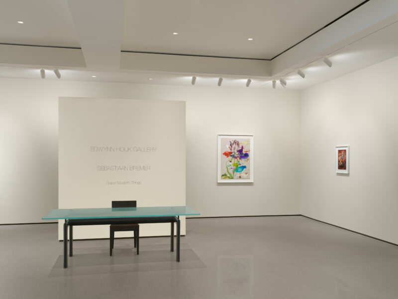 Installation shot from Sebastiaan Bremer: Super Modern Things, @ Edwynn Houk Gallery