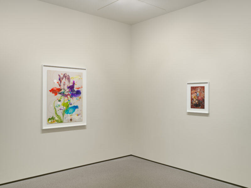 Installation shot from Sebastiaan Bremer: Super Modern Things, @ Edwynn Houk Gallery