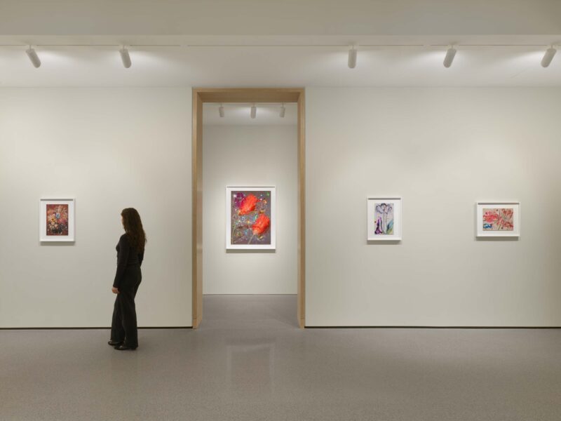 Installation shot from Sebastiaan Bremer: Super Modern Things, @ Edwynn Houk Gallery