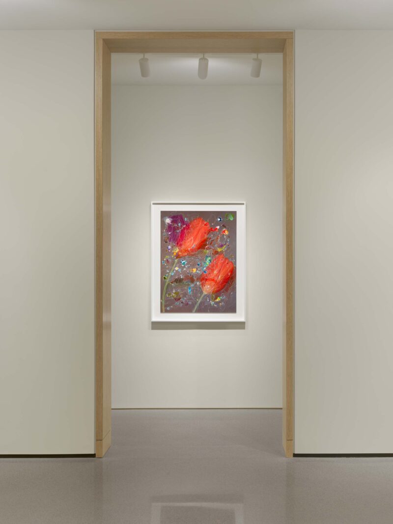 Installation shot from Sebastiaan Bremer: Super Modern Things, @ Edwynn Houk Gallery