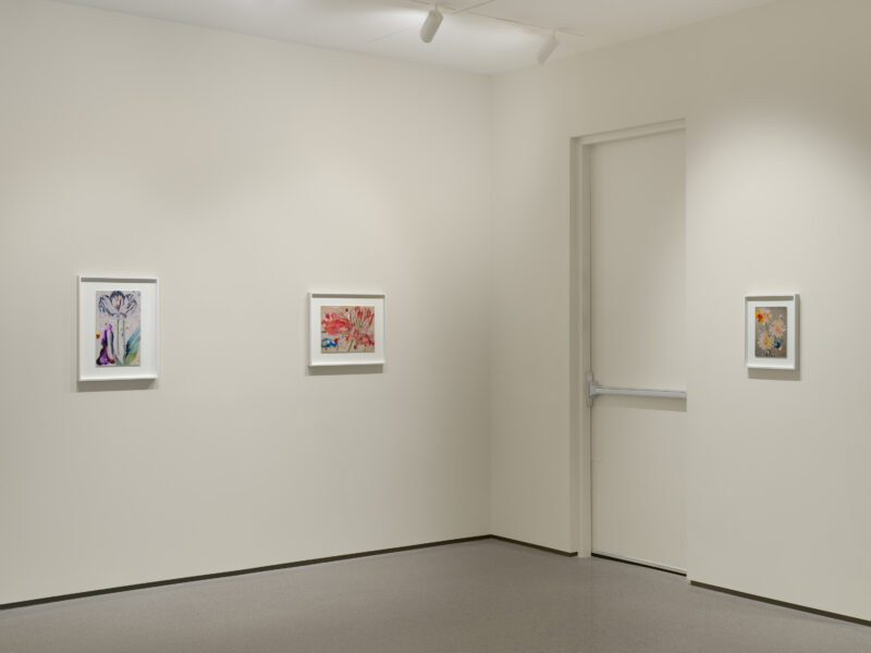 Installation shot from Sebastiaan Bremer: Super Modern Things, @ Edwynn Houk Gallery