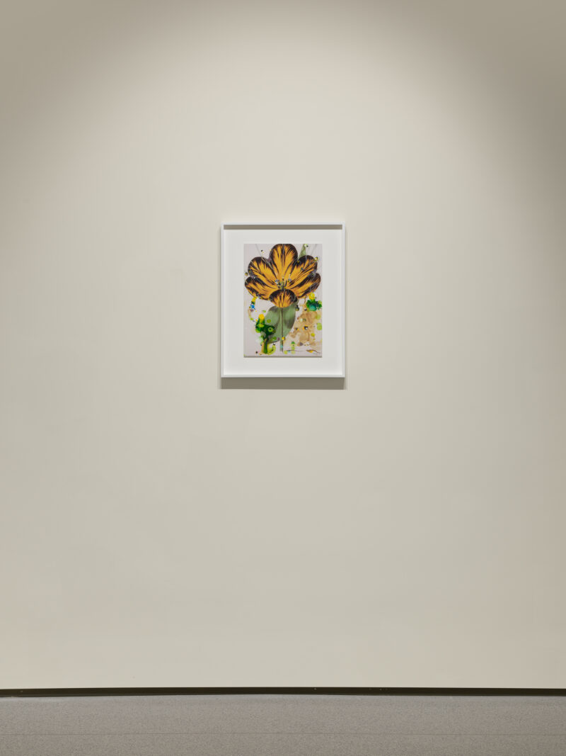 Installation shot from Sebastiaan Bremer: Super Modern Things, @ Edwynn Houk Gallery