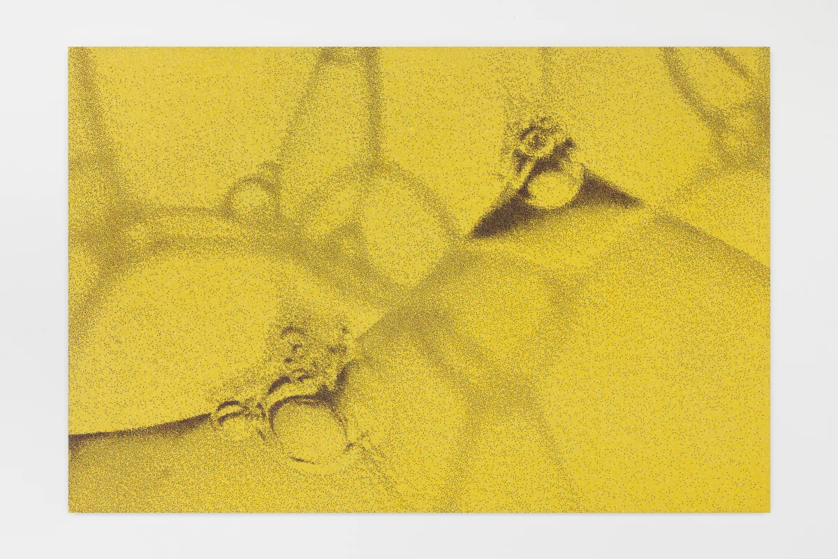 Tauba Auerbach, Foam, 2026