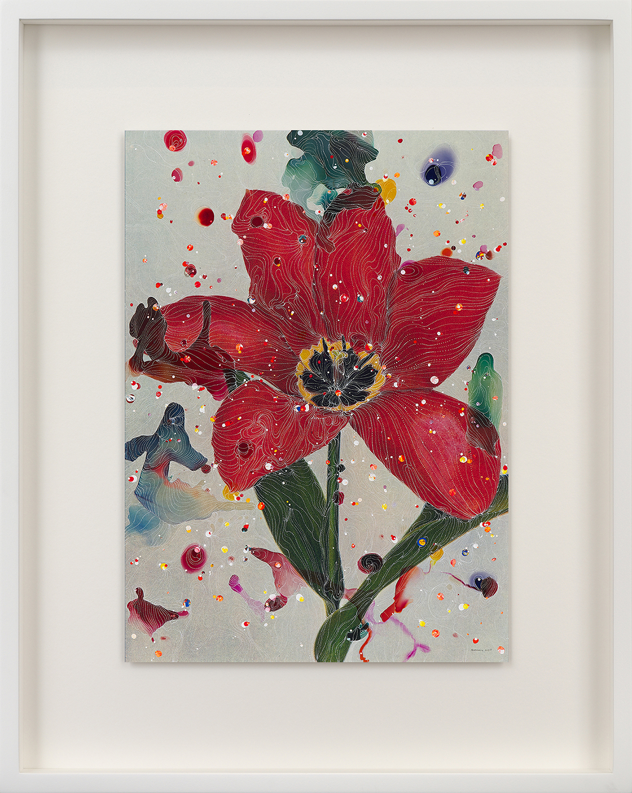 Sebastiaan Bremer, Tulipa Posteriana Madame Lefeber (Red Emperor), 2023