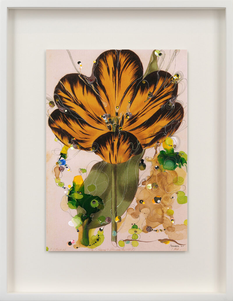 Sebastiaan Bremer, Slyly and shyly, 2025