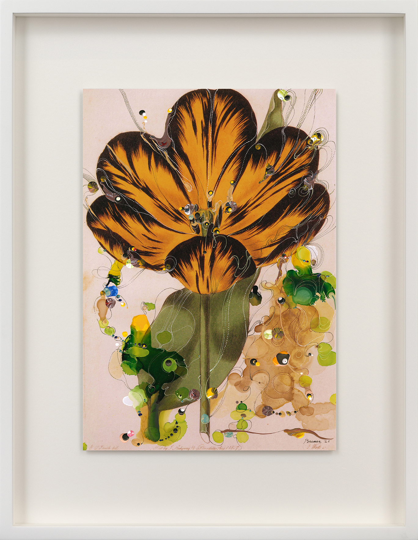 Sebastiaan Bremer, Slyly and shyly, 2025