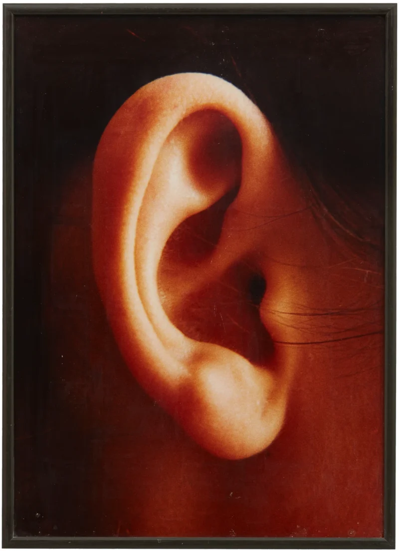 Isa Genzken, Ohr (Ear), 1980