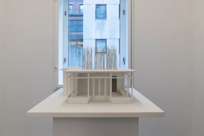 Isa Genzken, Haare wachsen, wie sie wollen (Hair that grows at its will), 2002