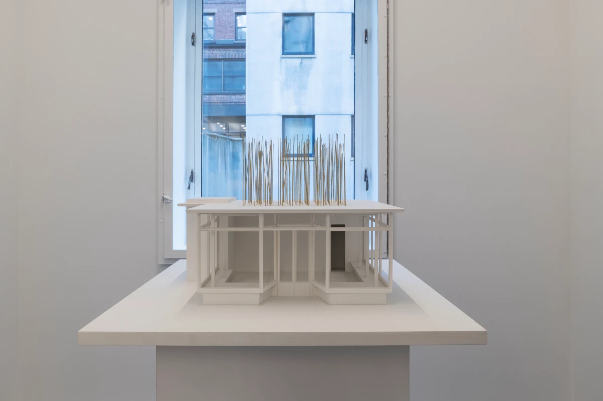 Isa Genzken, Haare wachsen, wie sie wollen (Hair that grows at its will), 2002