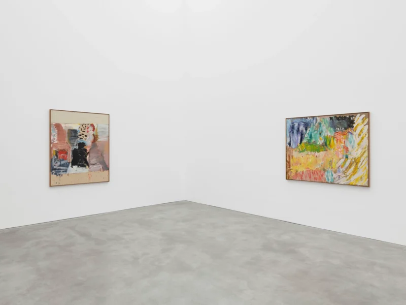 Installation shot from Roy Oxlade, @ Alison Jacques