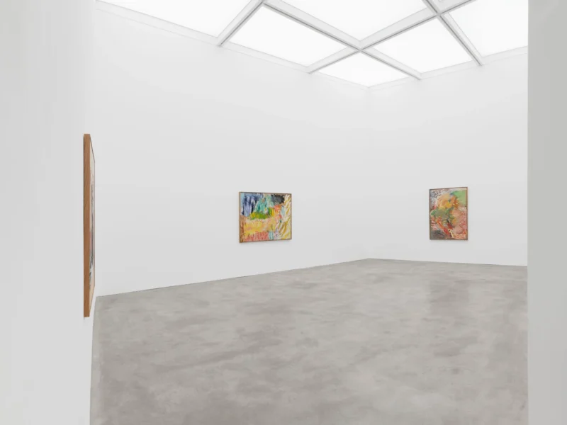 Installation shot from Roy Oxlade, @ Alison Jacques