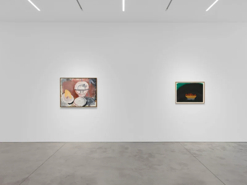 Installation shot from Roy Oxlade, @ Alison Jacques