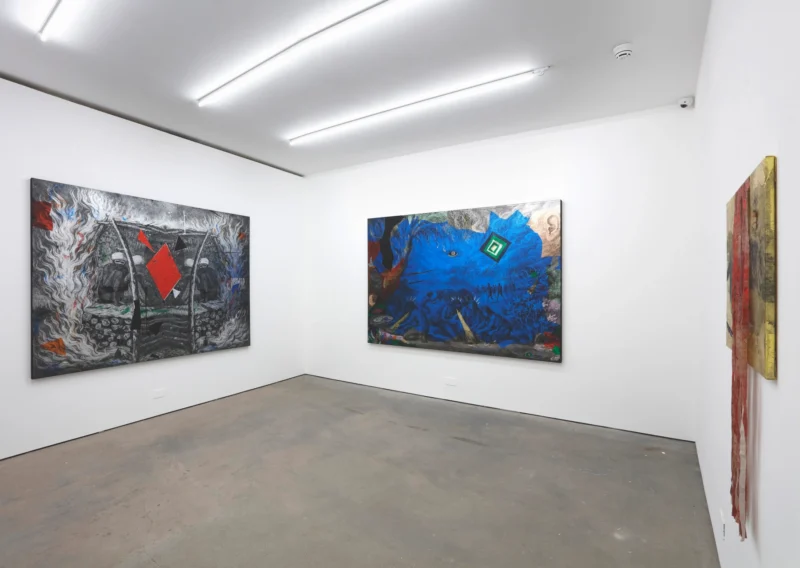 Installation shot from Brook Andrew: Symbolic Nature, @ Ames Yavuz