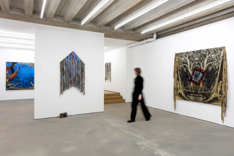 Installation shot from Brook Andrew: Symbolic Nature, @ Ames Yavuz