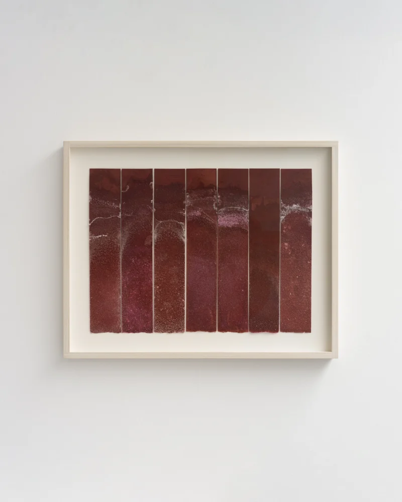 Lucinda Burgess, India Red 192 - Dissolution, 2026