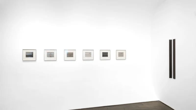 Installation shot from Lucinda Burgess: Morphosis, @ Bartha_contemporary