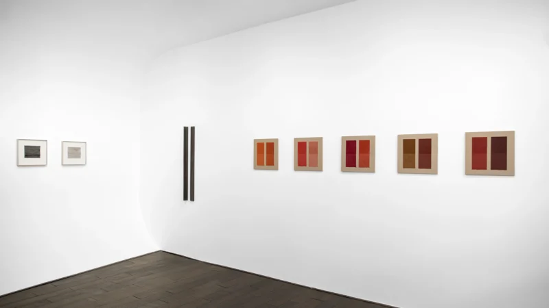 Installation shot from Lucinda Burgess: Morphosis, @ Bartha_contemporary