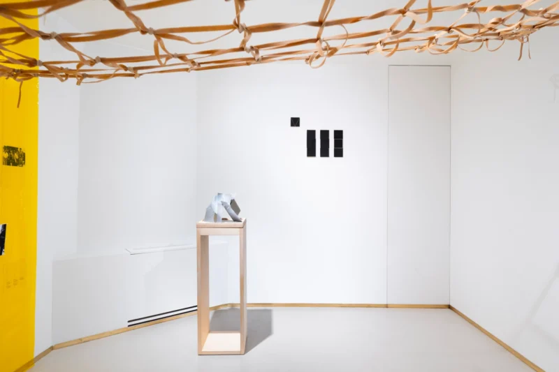 Installation shot from Lygia Clark: Anatomie d’une ligne, @ Baró Galeria