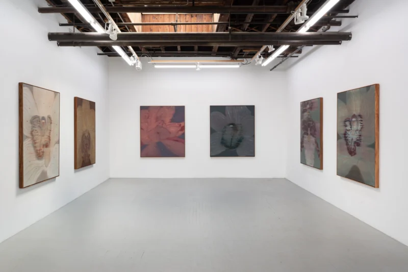 Installation shot from Heath Wae: Mineral Meridian, @ CARVALHO