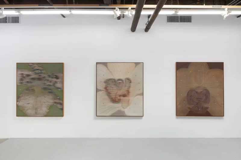 Installation shot from Heath Wae: Mineral Meridian, @ CARVALHO