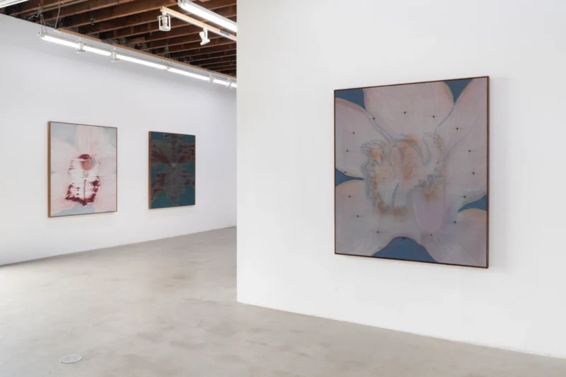 Installation shot from Heath Wae: Mineral Meridian, @ CARVALHO