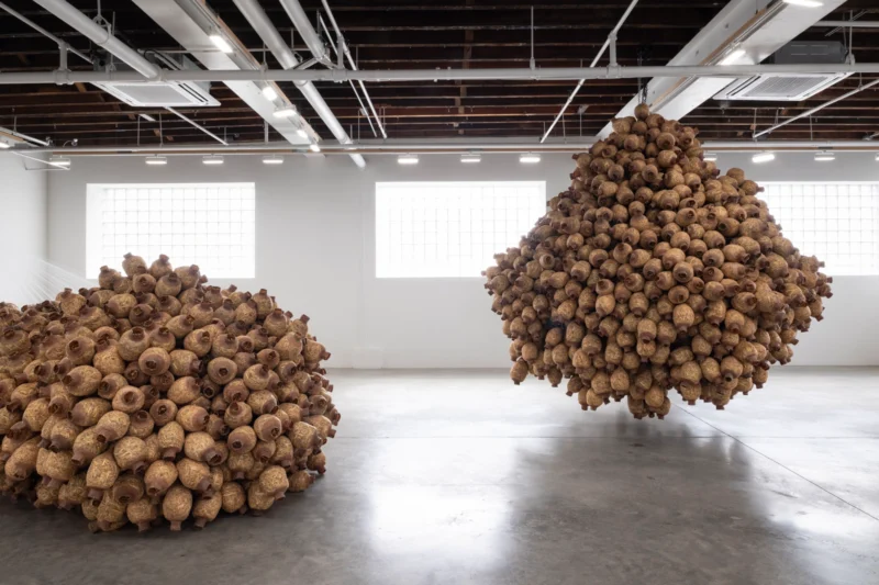 Installation shot from Kat Howard: In place of no, my mouth leaks honey, @ CARVALHO