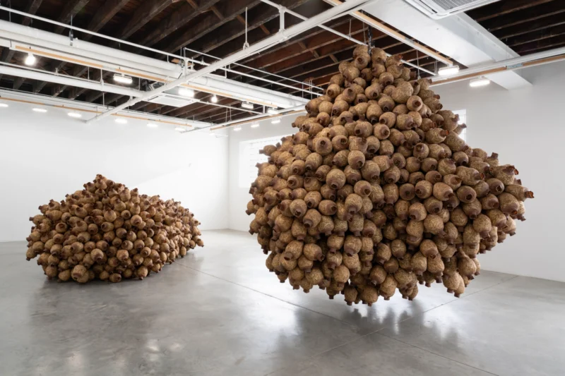 Installation shot from Kat Howard: In place of no, my mouth leaks honey, @ CARVALHO
